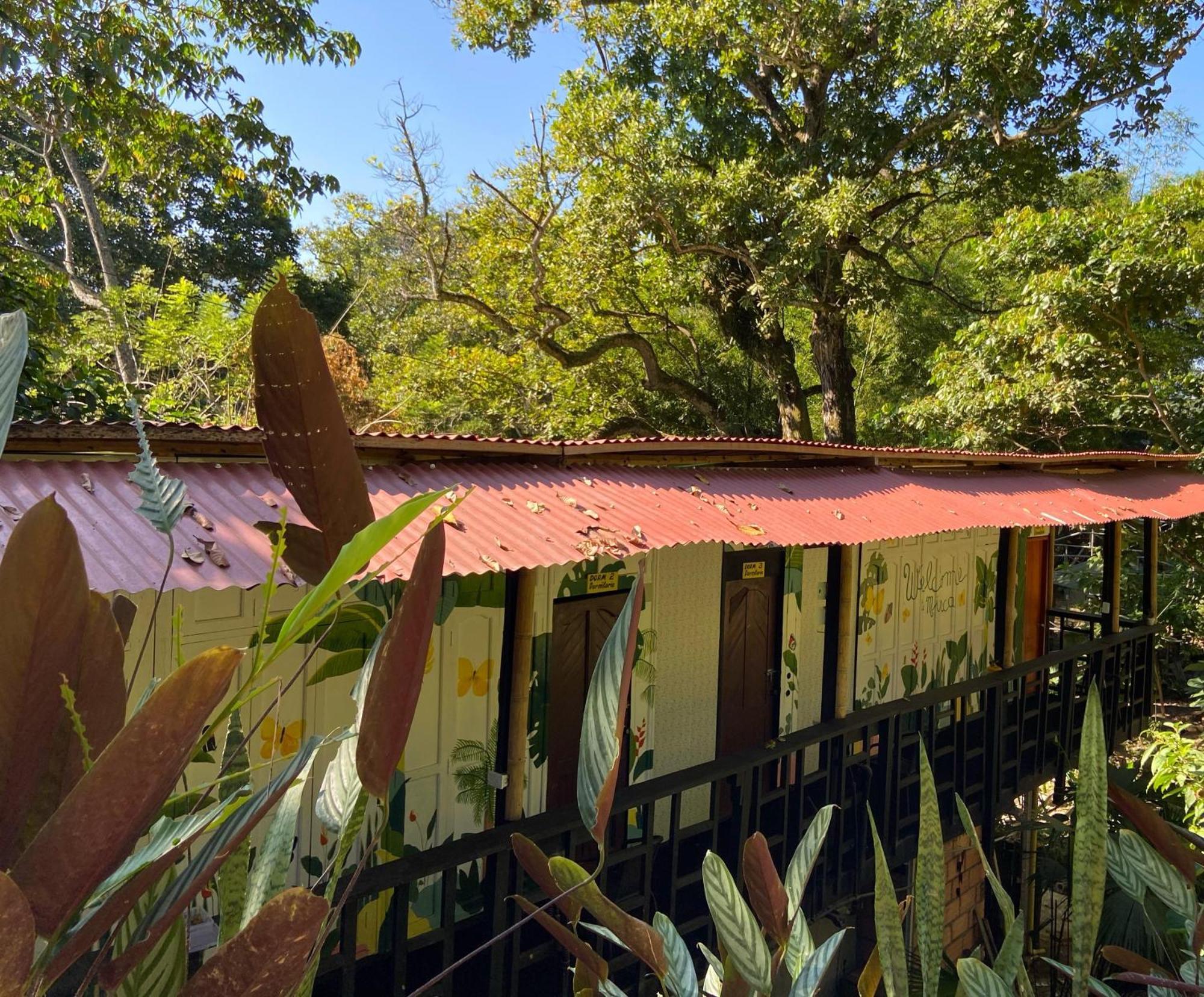 Hostal Las Mariposas Minca Exterior foto